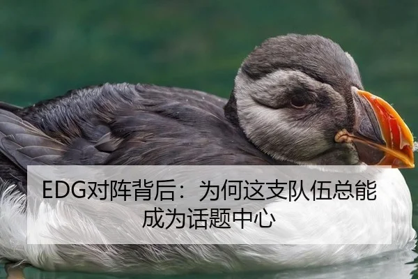 EDG对阵背后：为何这支队伍总能成为话题中心